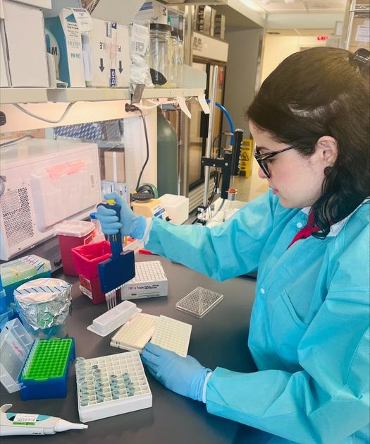 Imagen: La nueva tecnología podría conducir al desarrollo de mejores diagnósticos (foto cortesía de Amro Nasser, Universidad de Pittsburgh)